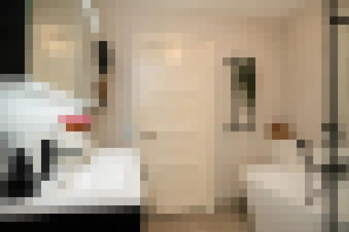 Pelikaanstraat 32 Utrecht thumbnail 31