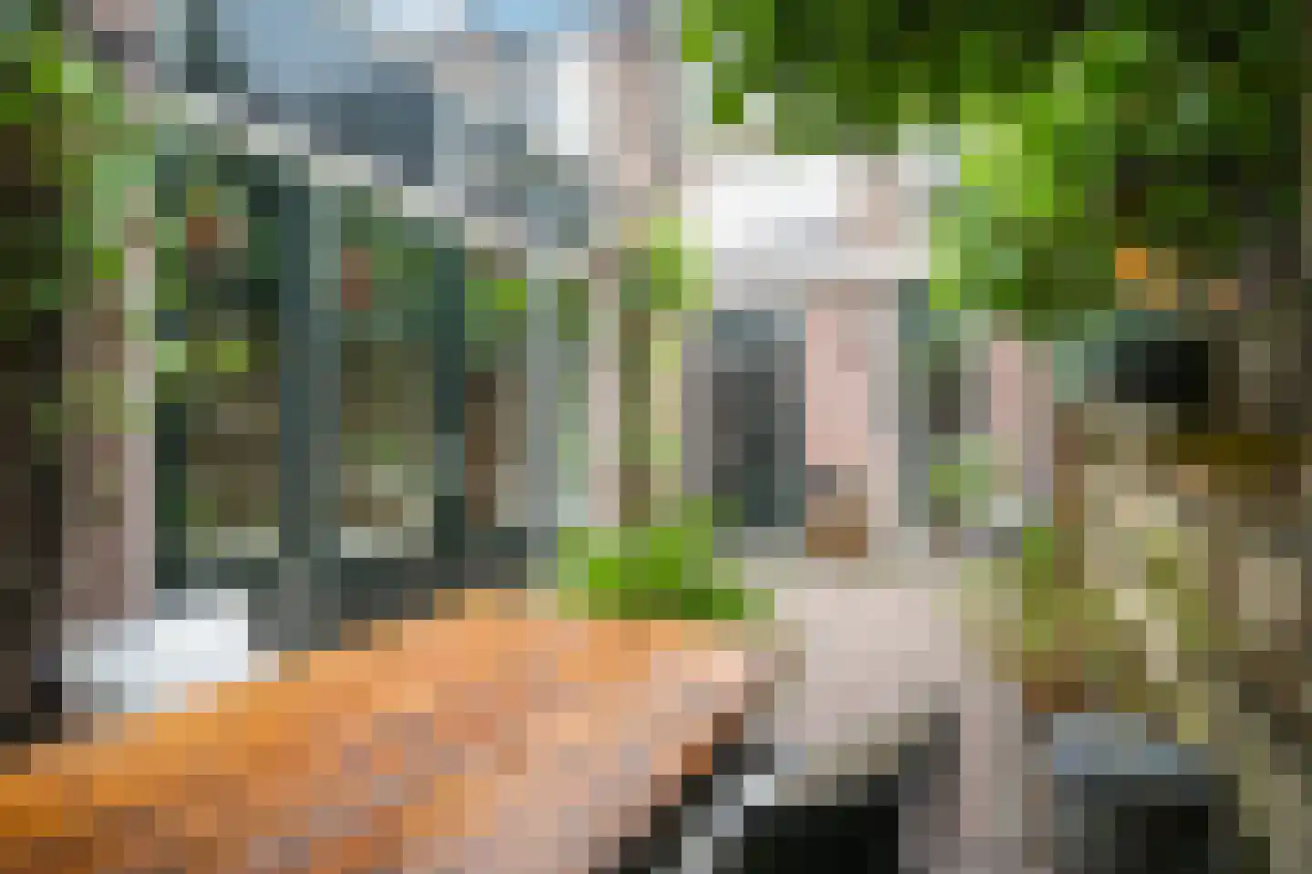 Pelikaanstraat 32 Utrecht thumbnail 4