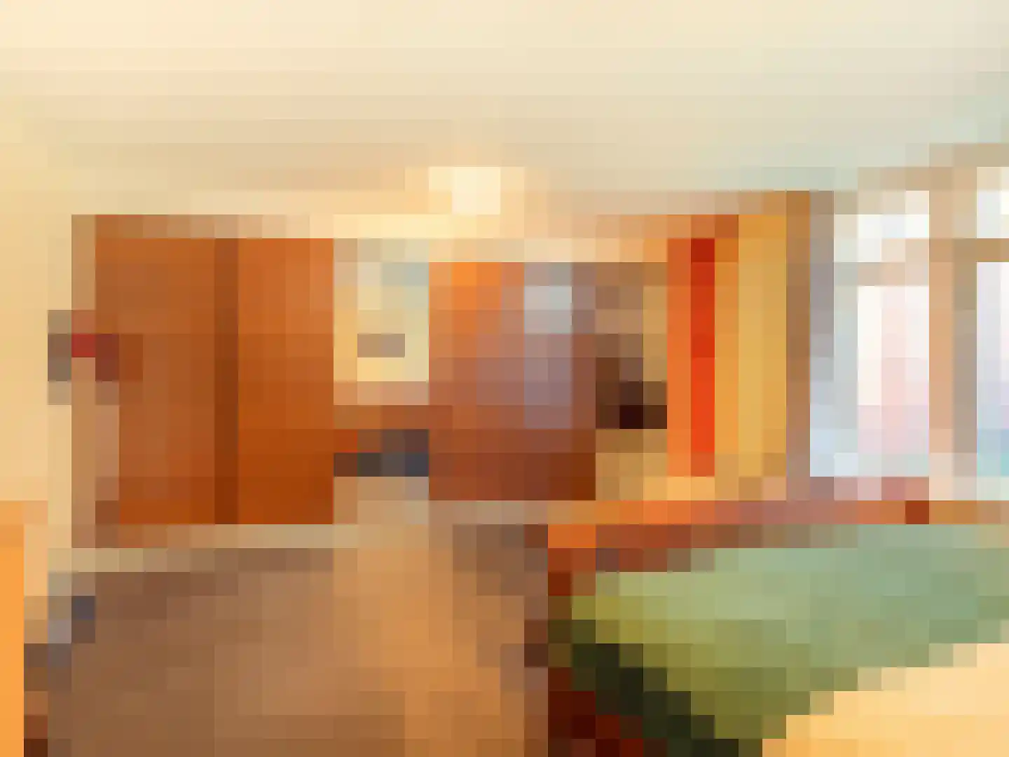 Pelikaanstraat 39 Utrecht thumbnail 24