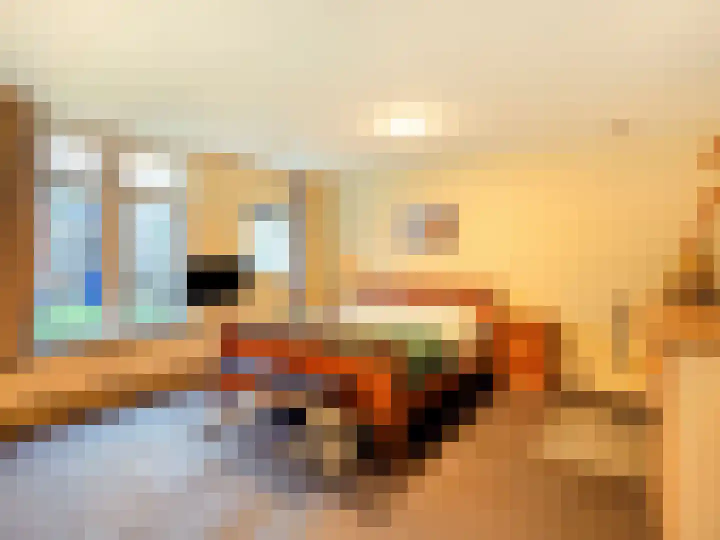 Pelikaanstraat 39 Utrecht thumbnail 7