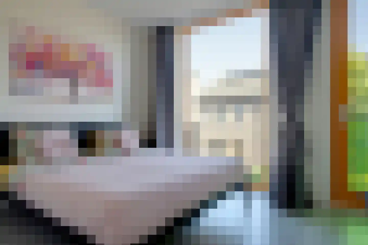 Pelikaanstraat 4 Groningen thumbnail 24