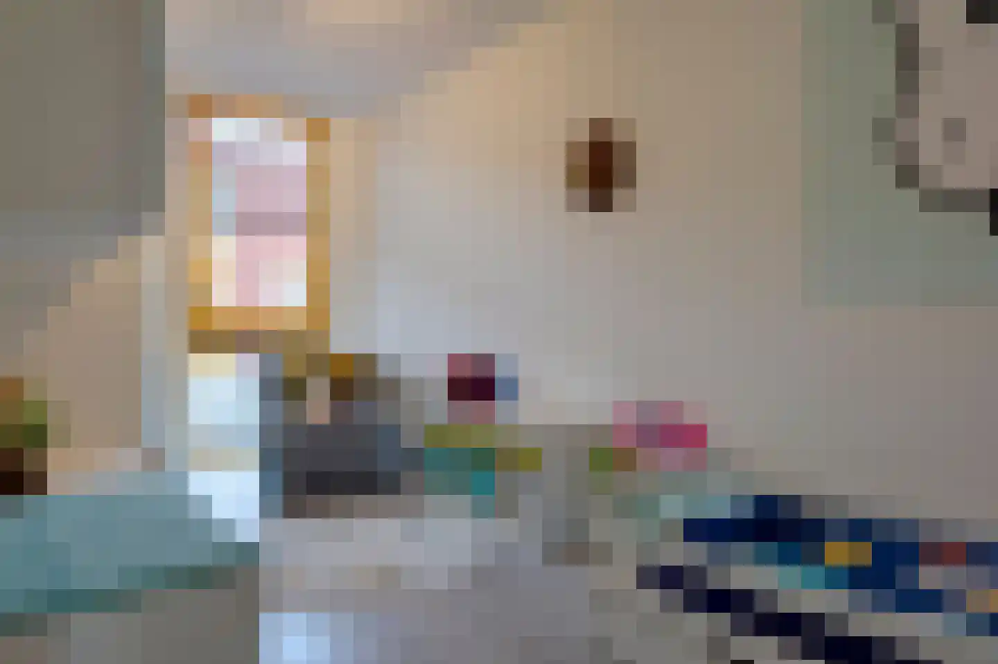 Pelikaanstraat 4 Groningen thumbnail 26