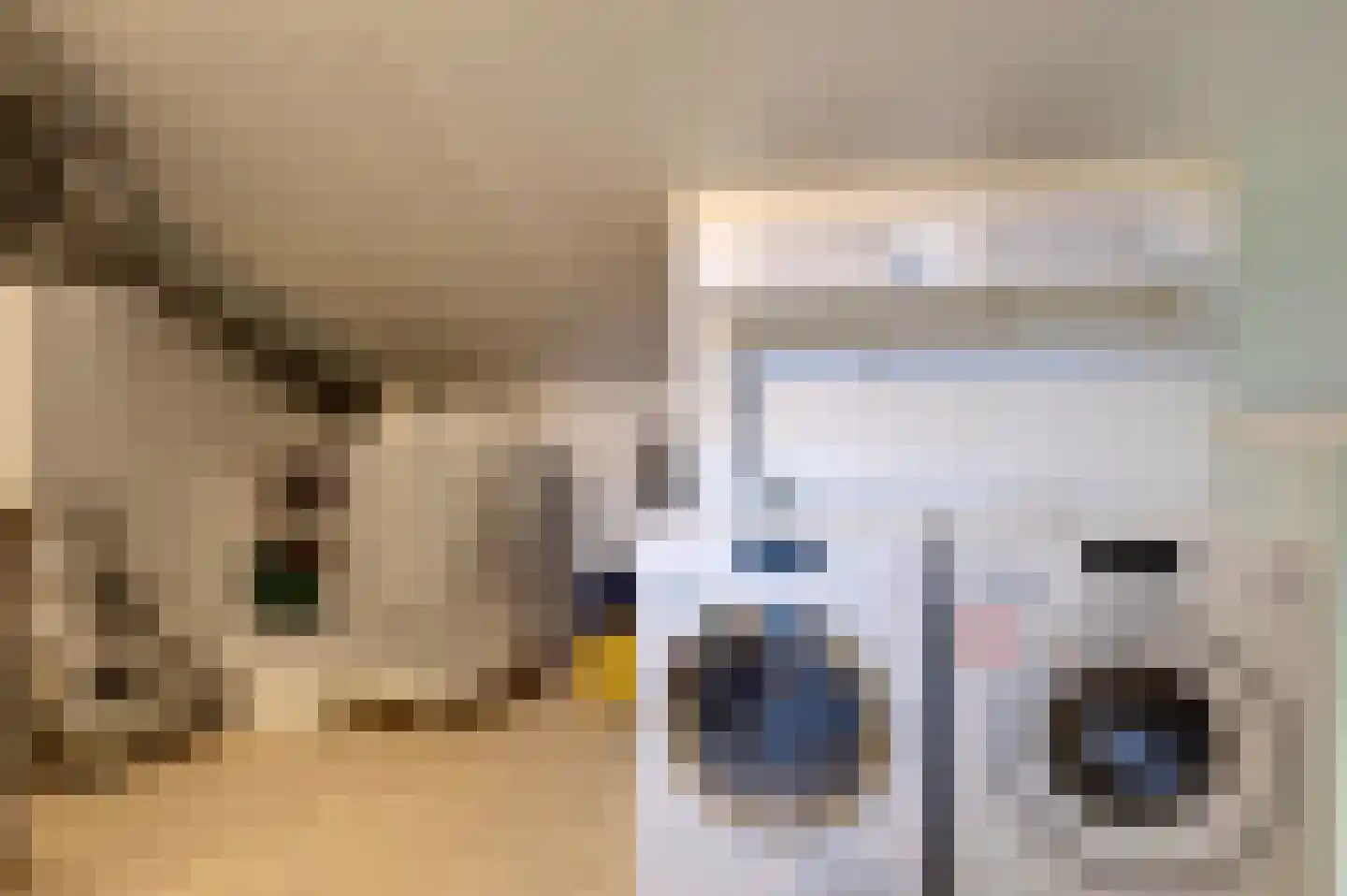 Pelikaanstraat 4 Groningen thumbnail 28