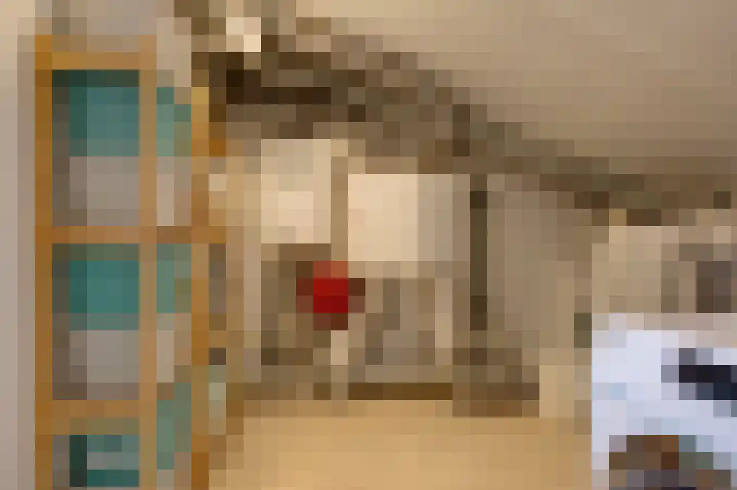 Pelikaanstraat 4 Groningen thumbnail 29