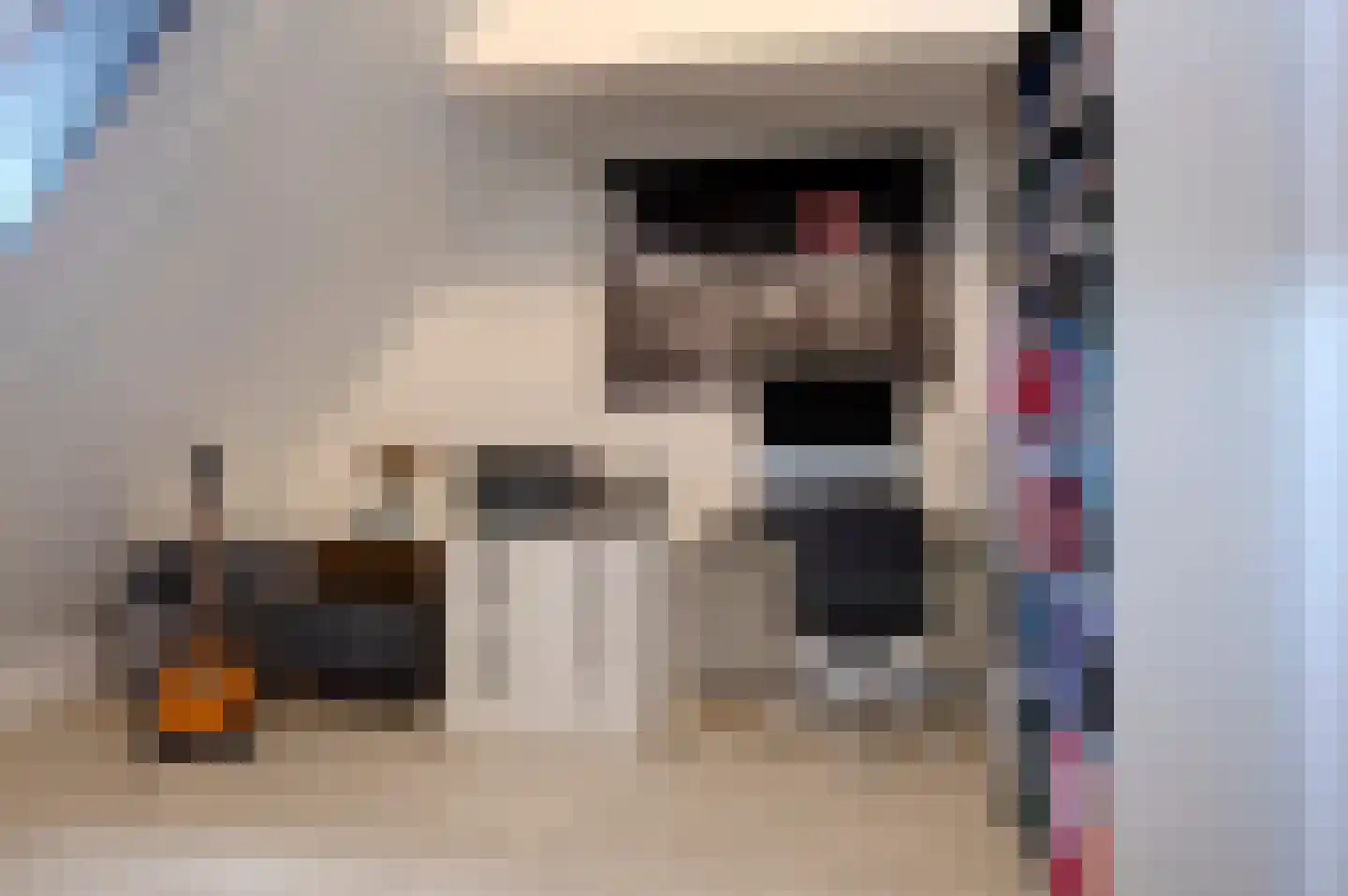 Pelikaanstraat 4 Groningen thumbnail 31