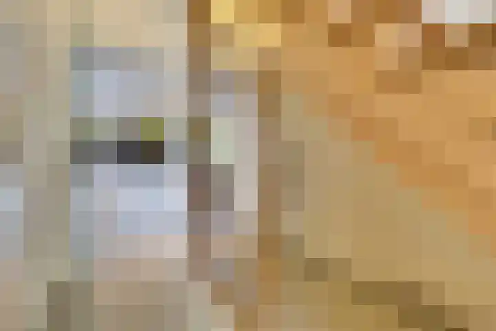 Pelikaanstraat 4 Heerlen thumbnail 10