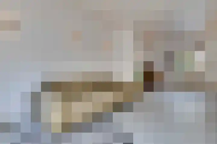Pelikaanstraat 4 Heerlen thumbnail 21