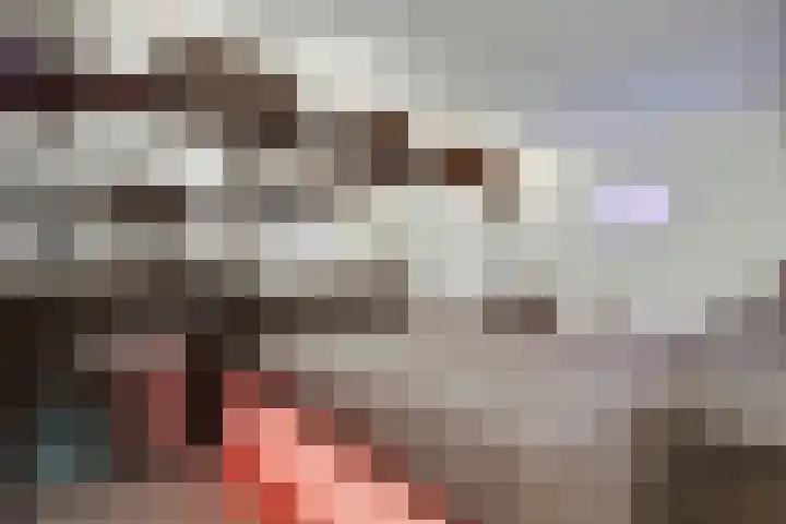 Pelikaanstraat 4 Heerlen thumbnail 45