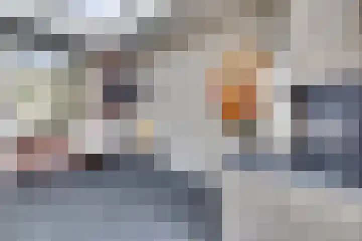 Pelikaanstraat 4 Heerlen thumbnail 48