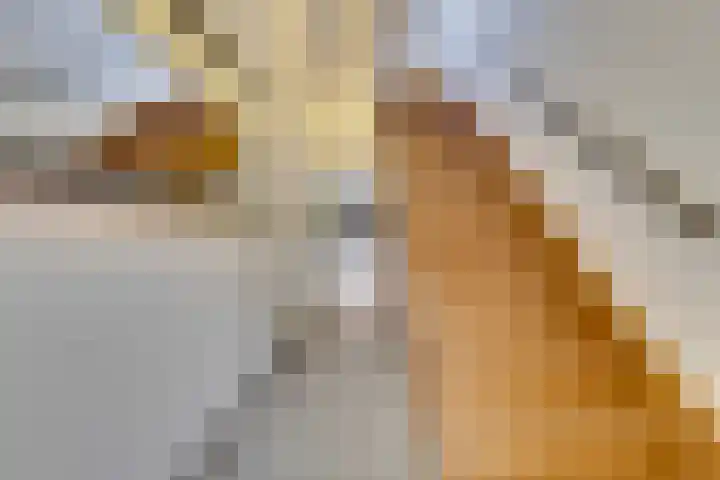 Pelikaanstraat 4 Heerlen thumbnail 9