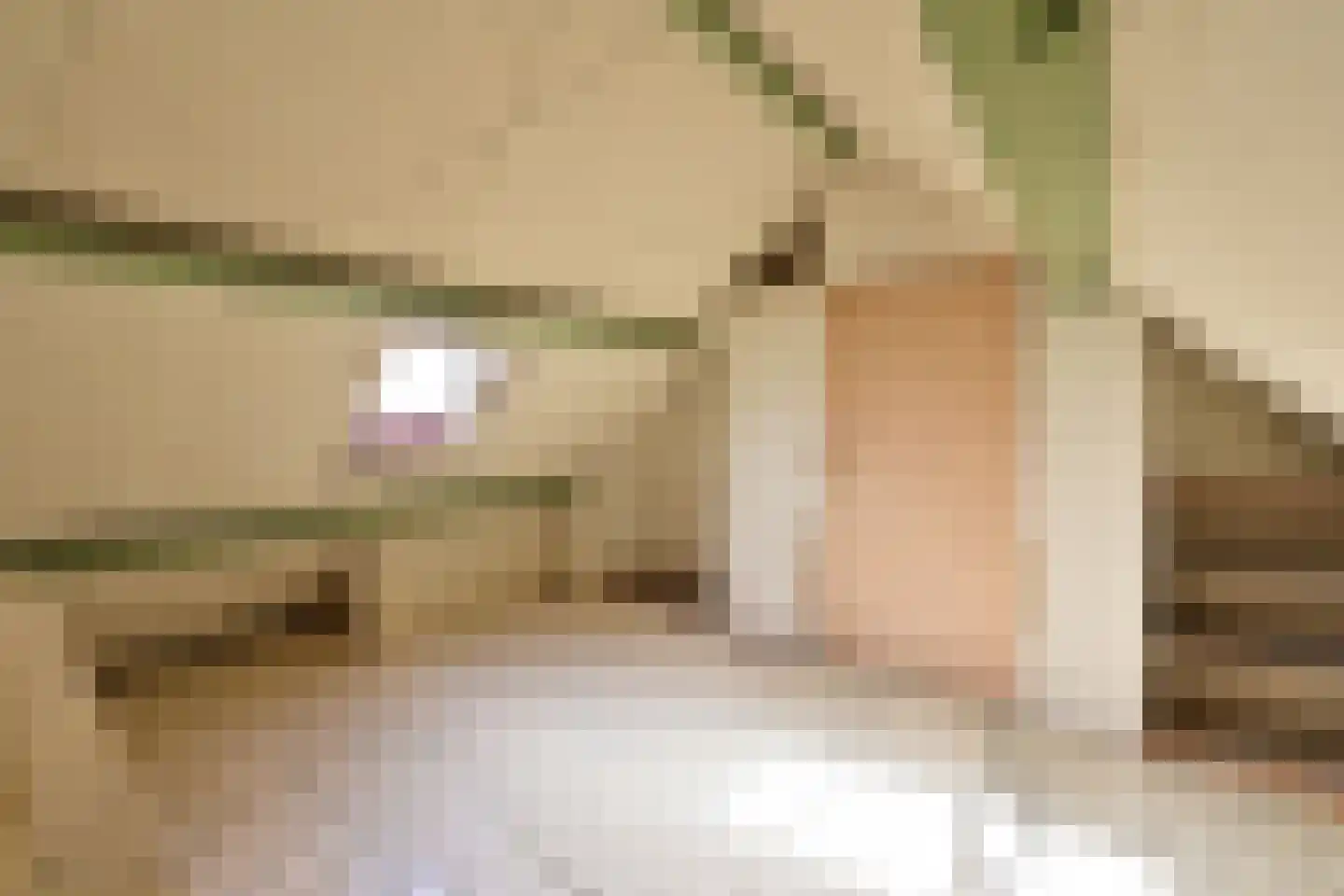 Pelikaanstraat 4 Hilversum thumbnail 9