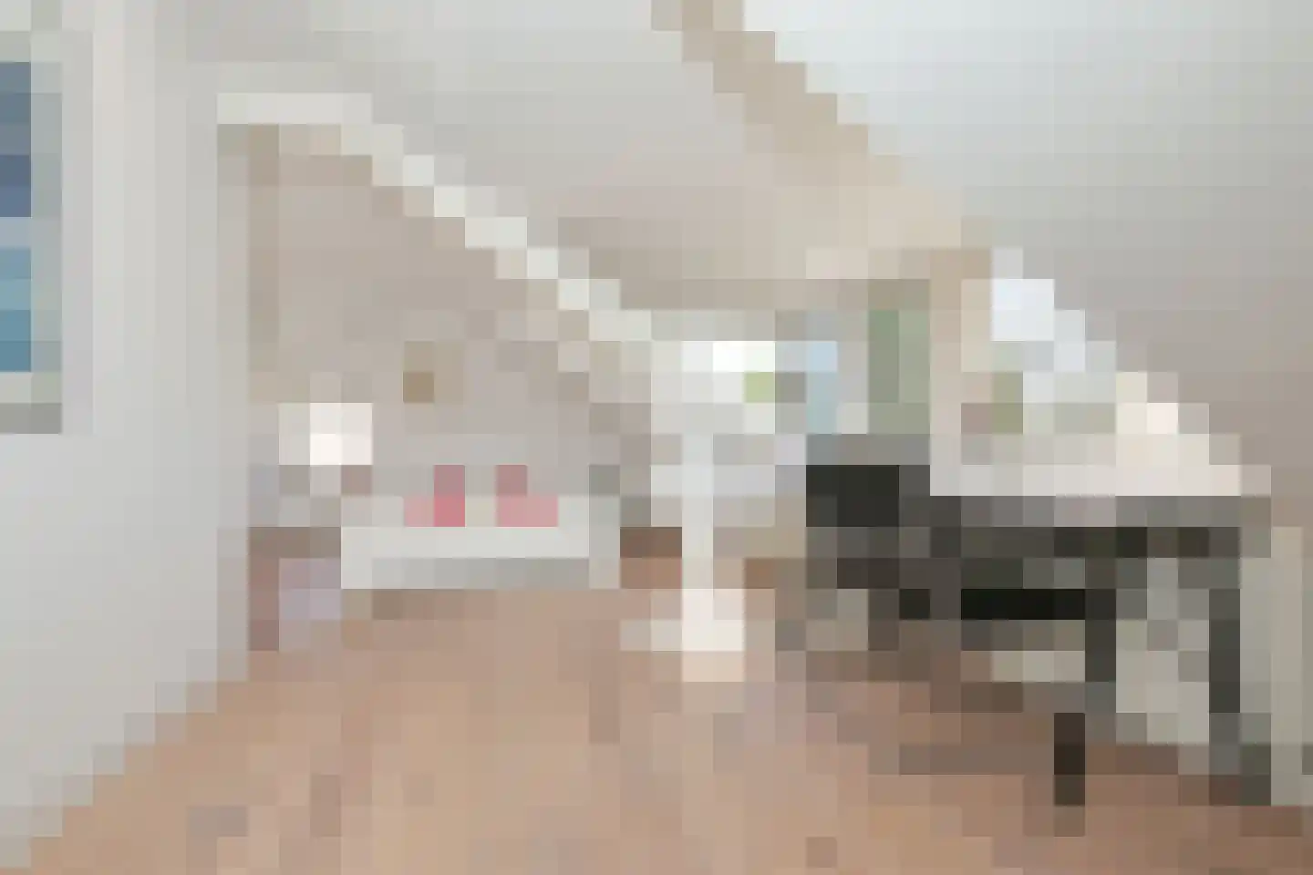 Pelikaanstraat 41 Badhoevedorp thumbnail 22