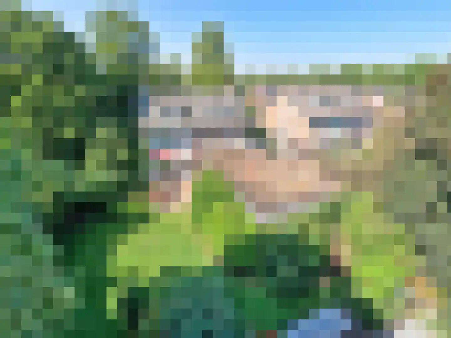 Pelikaanstraat 41 Badhoevedorp thumbnail 4