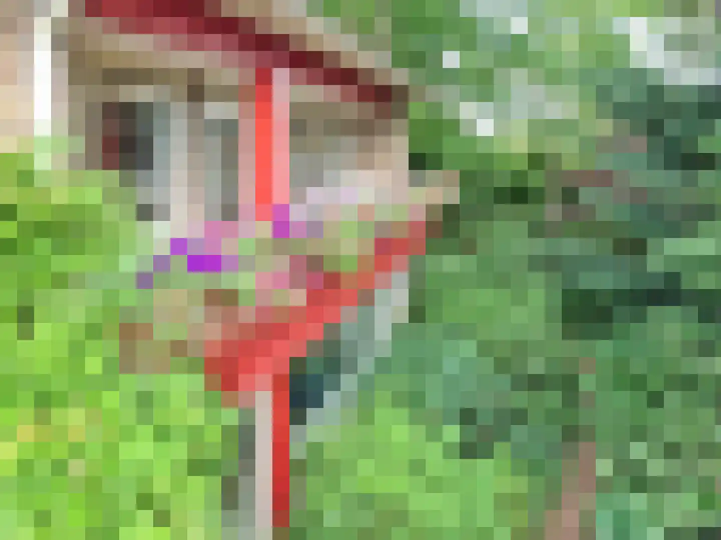 Pelikaanstraat 41 Badhoevedorp thumbnail 85