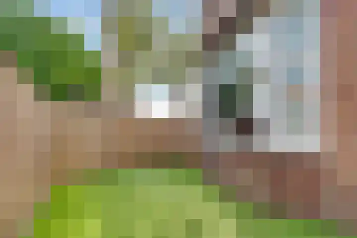 Pelikaanstraat 41 Hilversum thumbnail 31