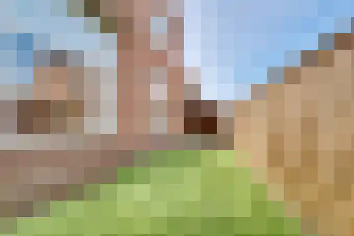 Pelikaanstraat 41 Hilversum thumbnail 32