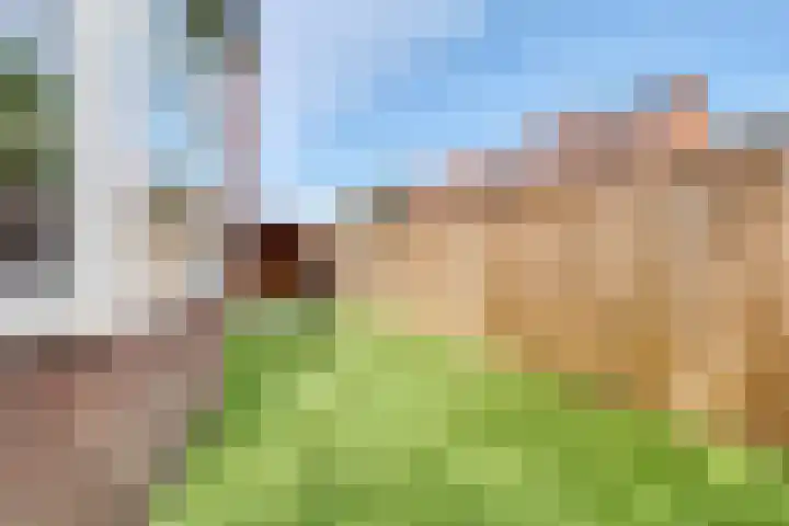 Pelikaanstraat 41 Hilversum thumbnail 33
