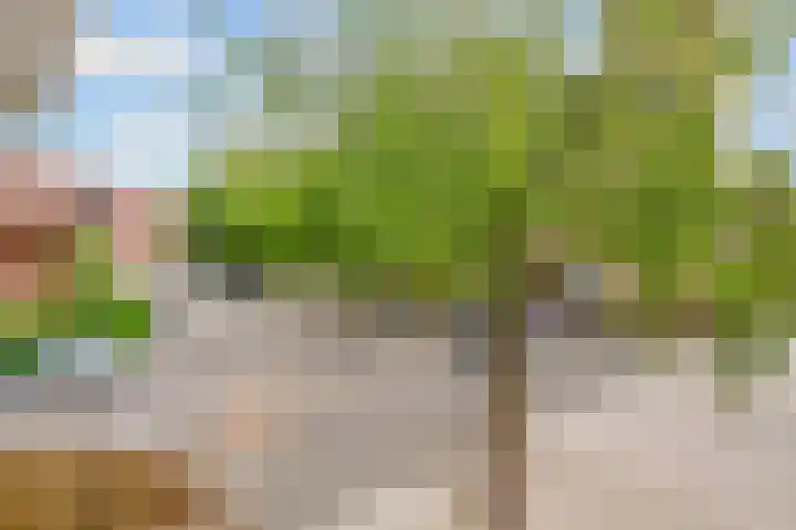 Pelikaanstraat 41 Hilversum thumbnail 37