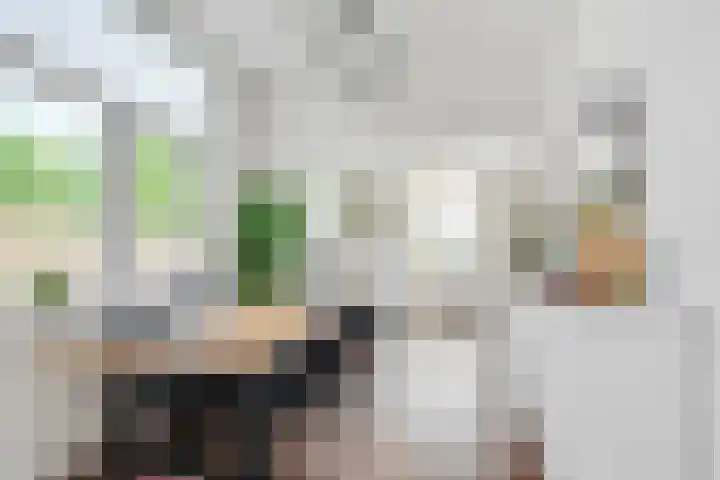 Pelikaanstraat 41 Hilversum thumbnail 7
