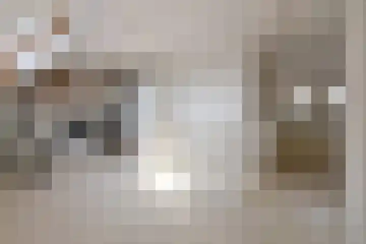 Pelikaanstraat 47 Hilversum thumbnail 12