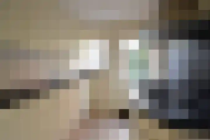 Pelikaanstraat 47 Hilversum thumbnail 5