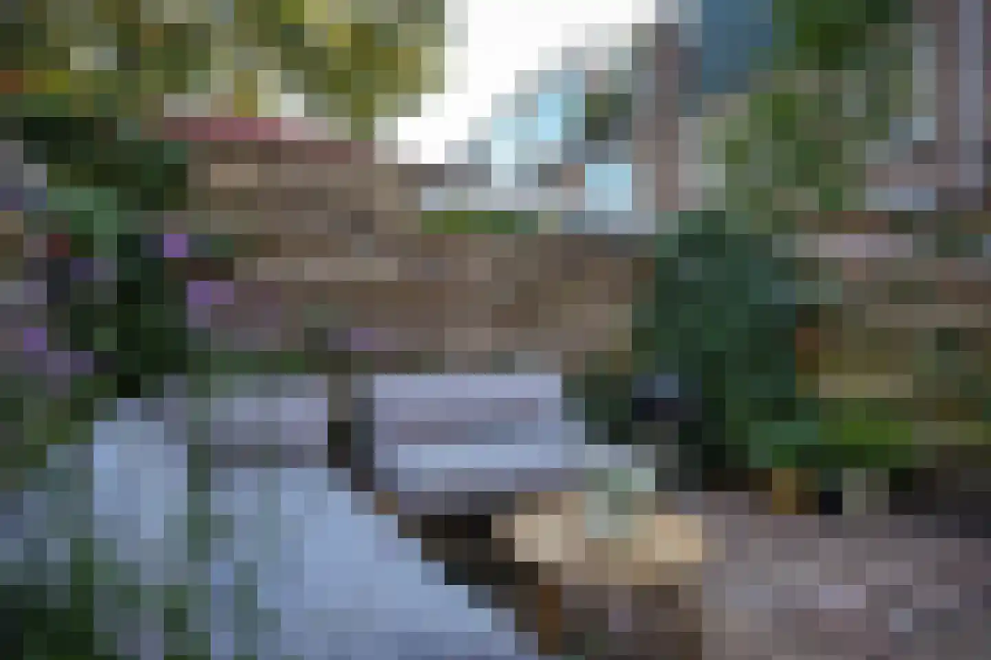 Pelikaanstraat 49 Utrecht thumbnail 4