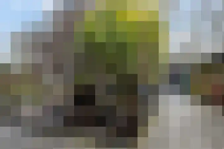Pelikaanstraat 5 Appingedam thumbnail 30