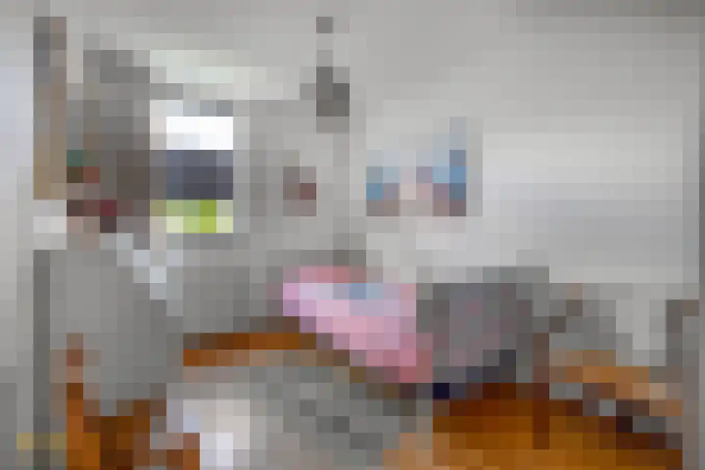 Pelikaanstraat 5 Venlo thumbnail 14