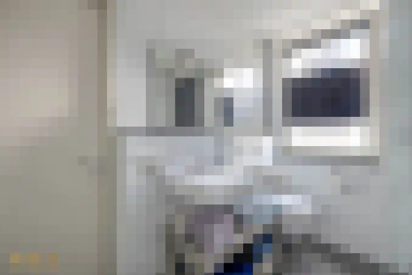 Pelikaanstraat 5 Venlo thumbnail 16