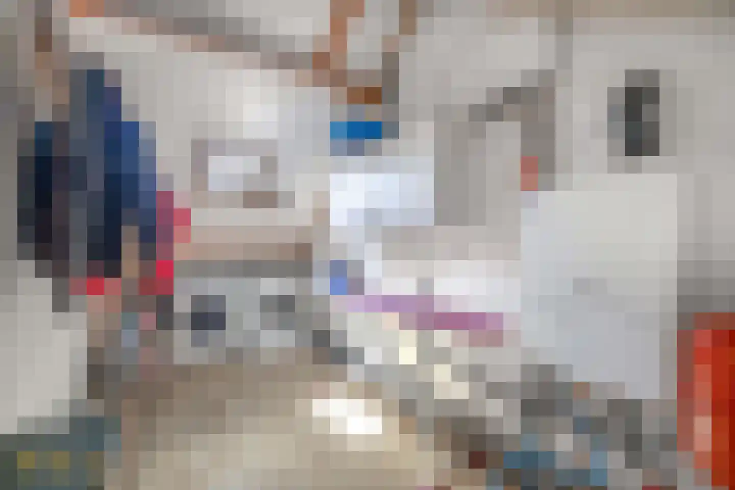 Pelikaanstraat 5 Venlo thumbnail 21