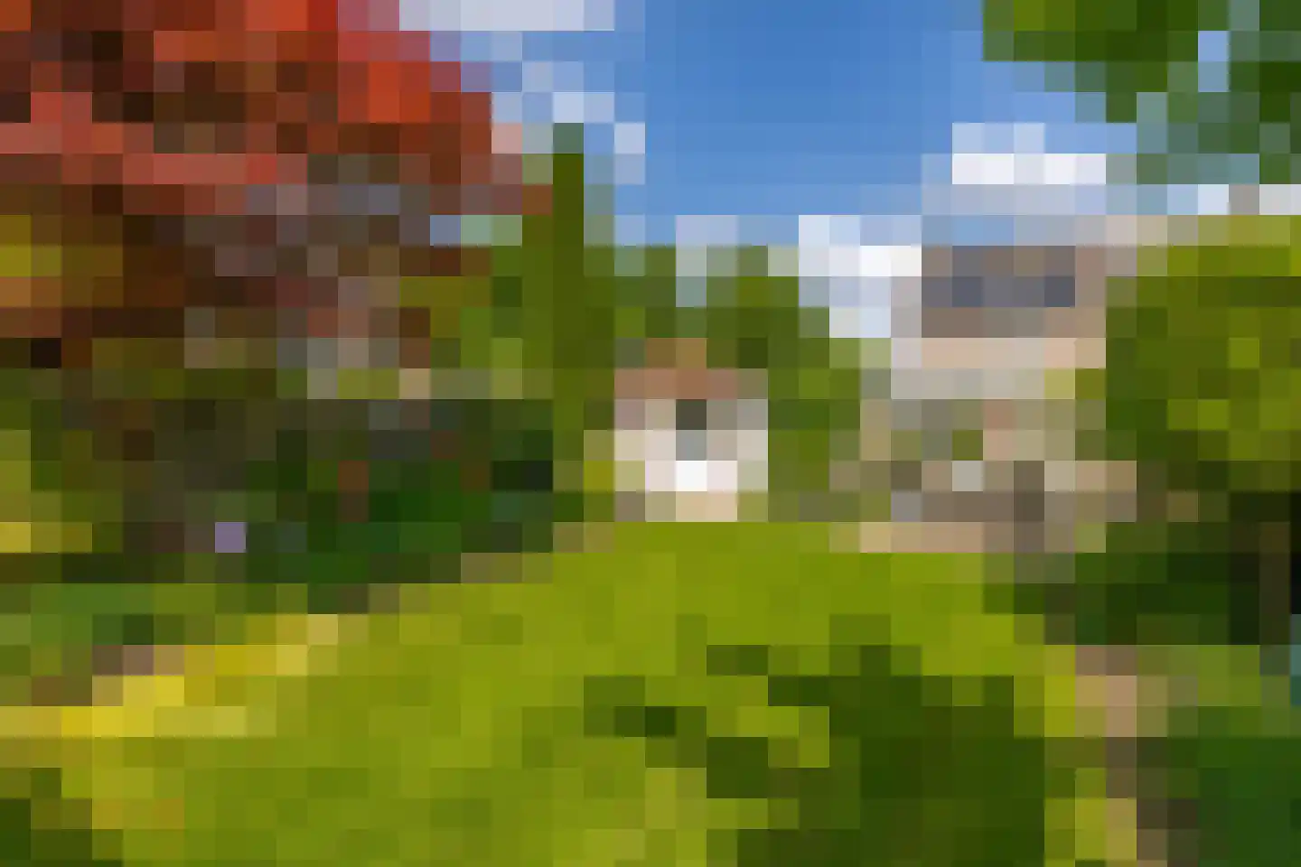 Pelikaanstraat 5 Venlo thumbnail 24