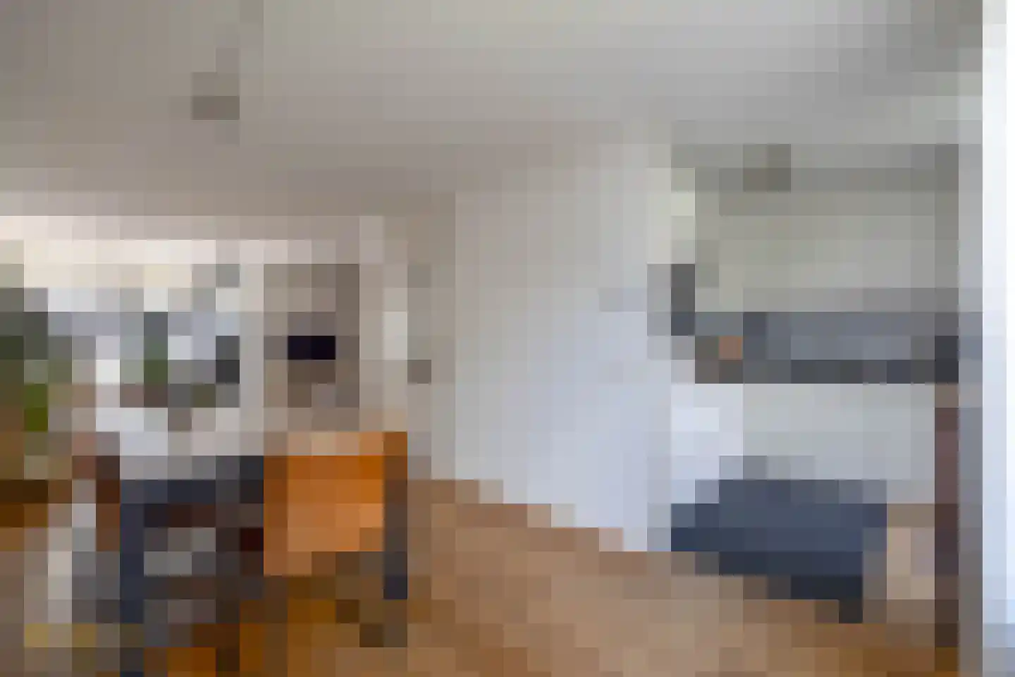 Pelikaanstraat 5 Venlo thumbnail 9