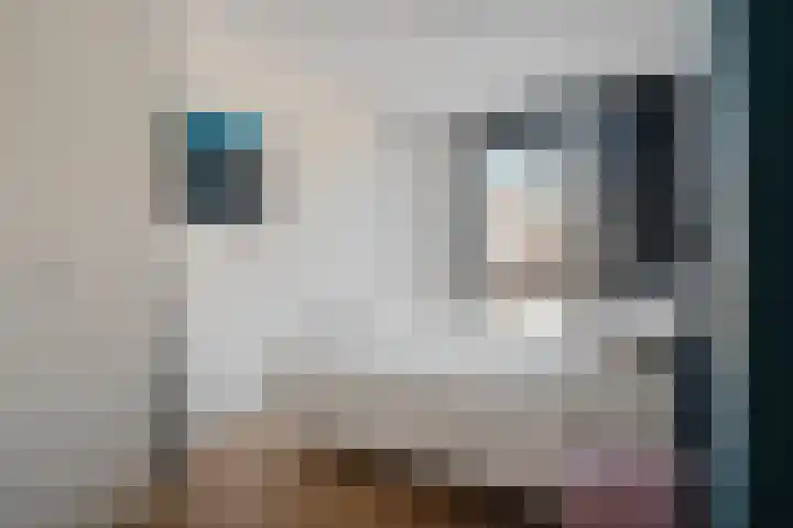 Pelikaanstraat 56 Groningen thumbnail 20
