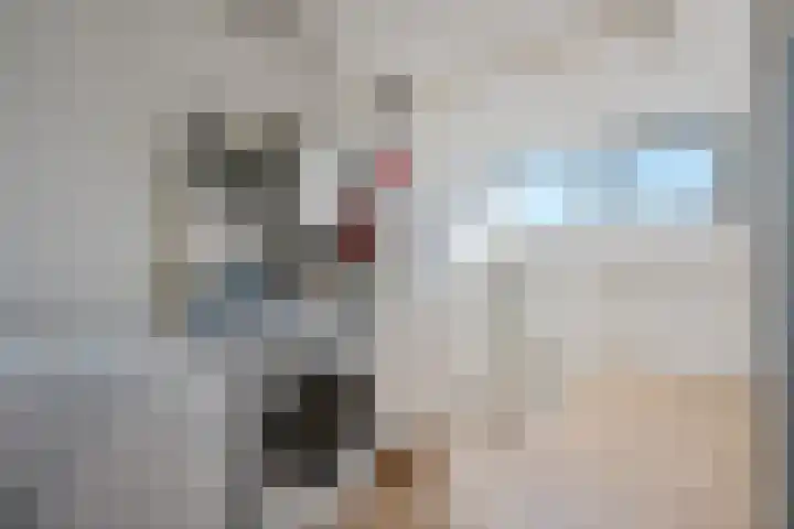 Pelikaanstraat 56 Groningen thumbnail 30