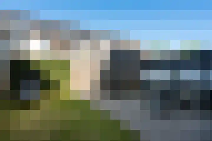 Pelikaanstraat 56 Groningen thumbnail 34