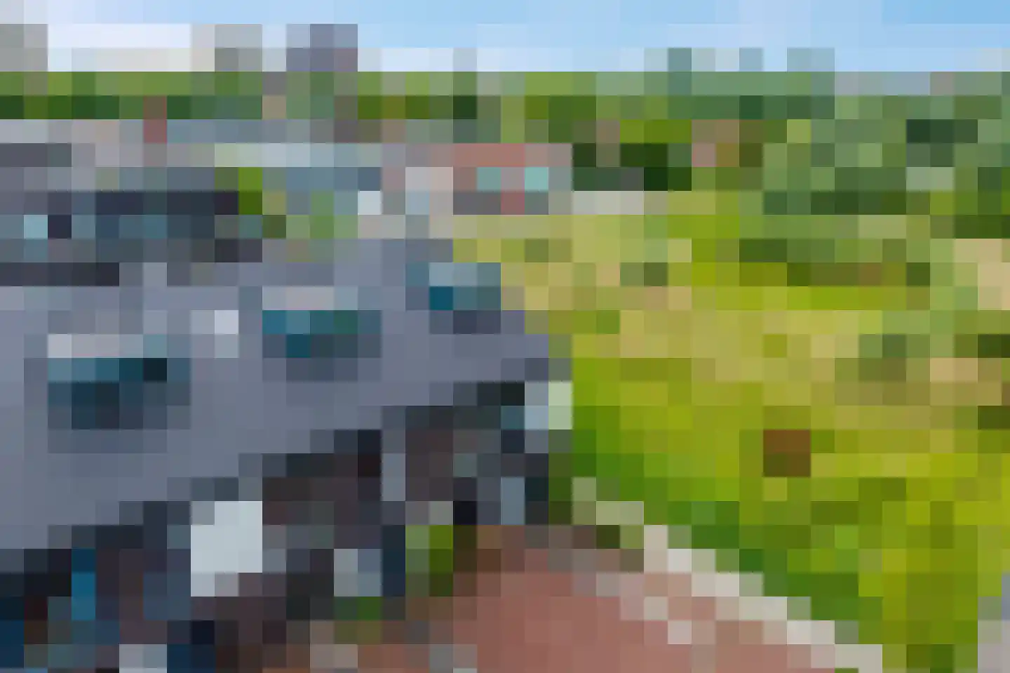 Pelikaanstraat 62 Groningen thumbnail 13