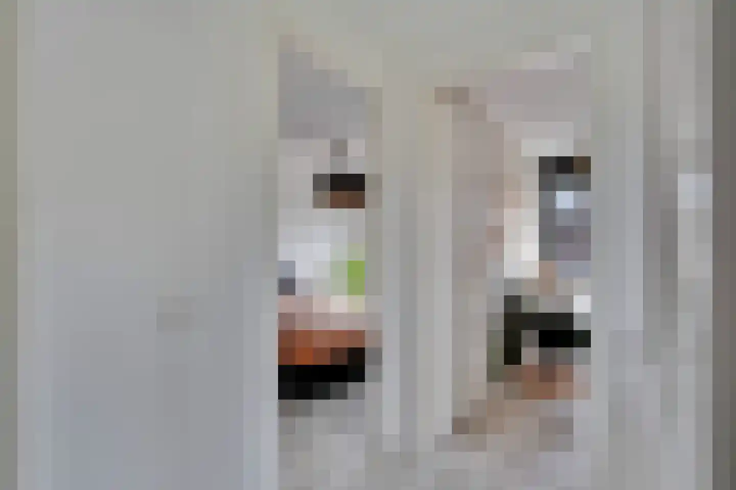 Pelikaanstraat 62 Groningen thumbnail 34