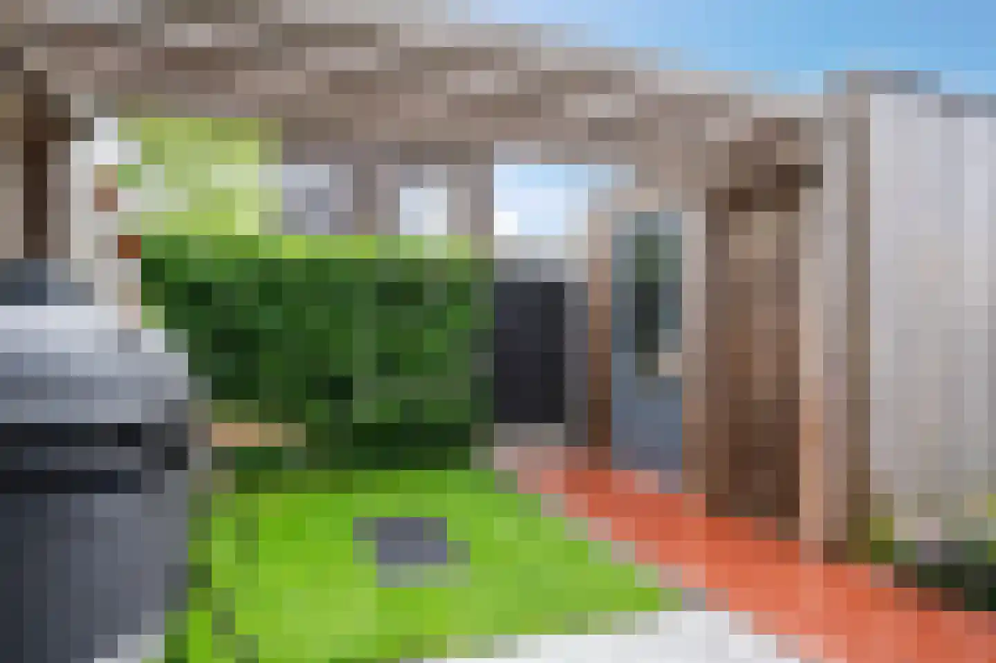 Pelikaanstraat 62 Groningen thumbnail 48