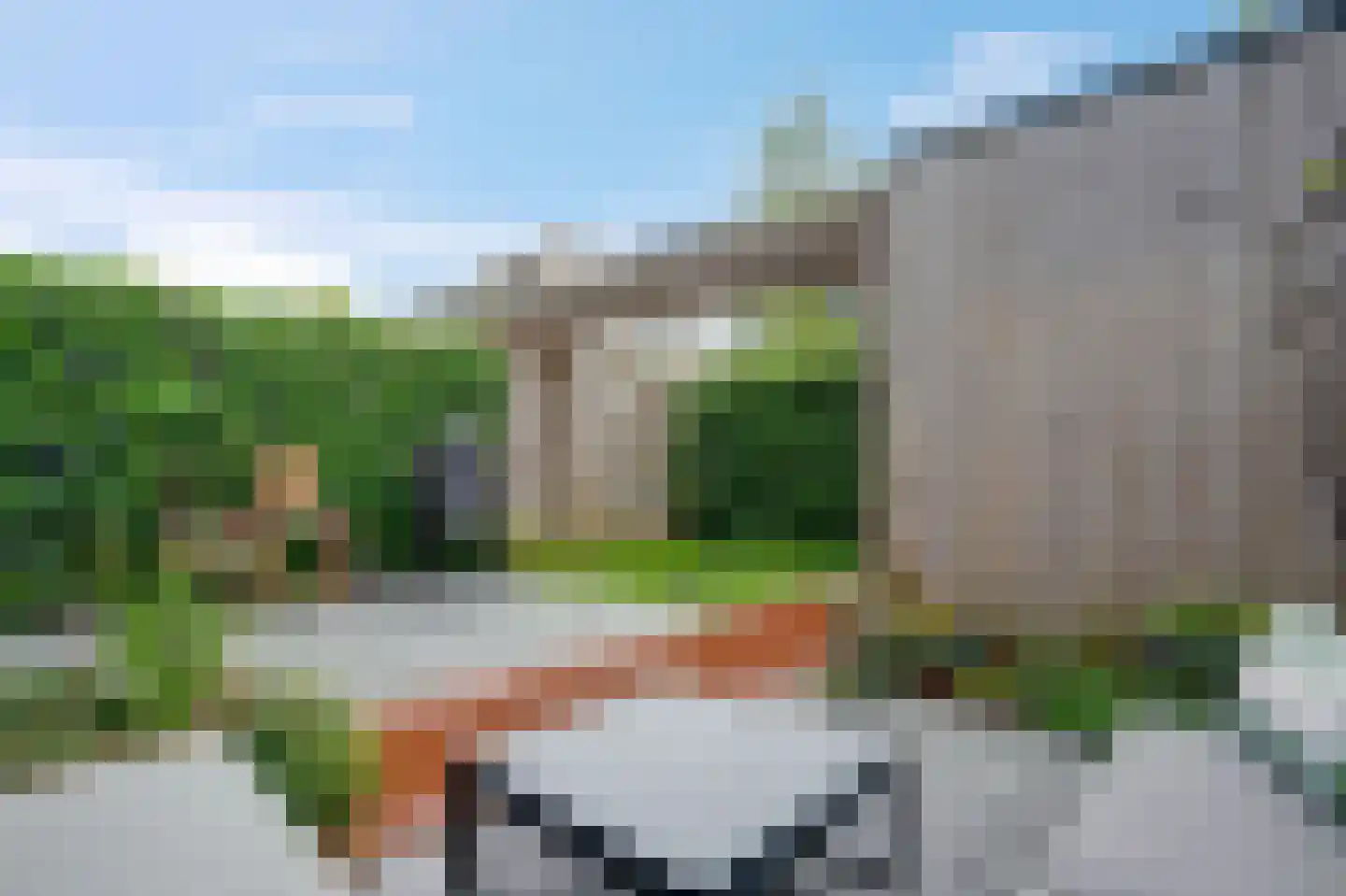 Pelikaanstraat 62 Groningen thumbnail 53