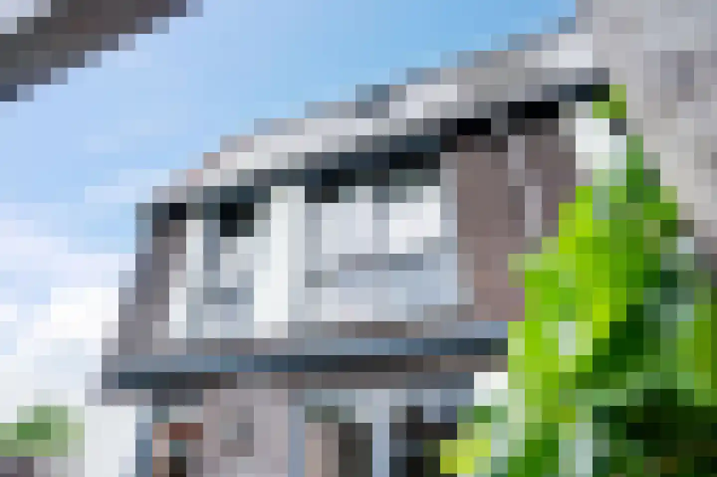 Pelikaanstraat 62 Groningen thumbnail 54