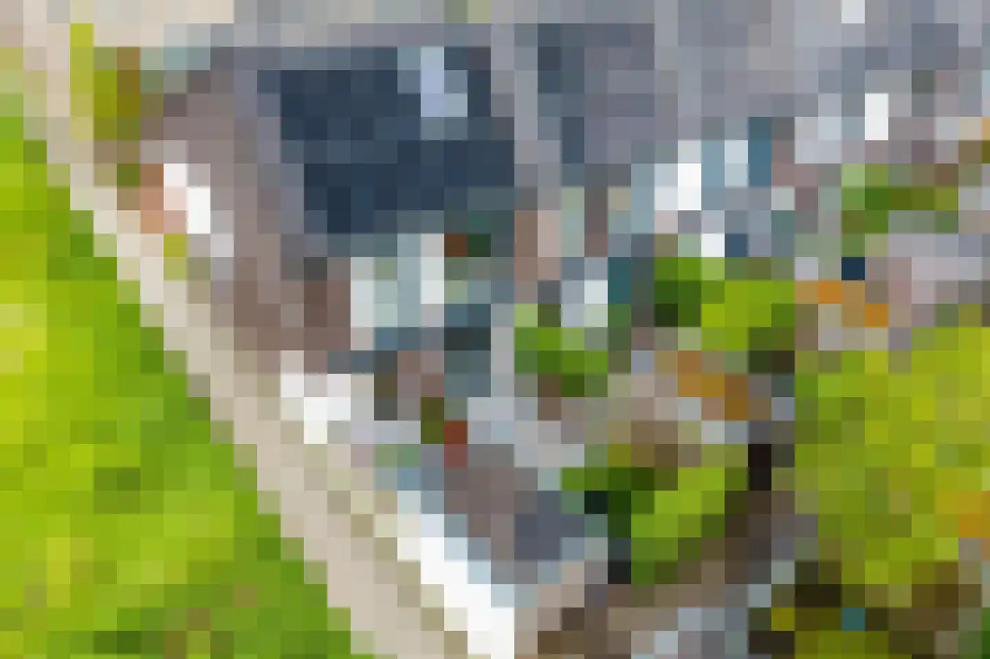 Pelikaanstraat 62 Groningen thumbnail 55