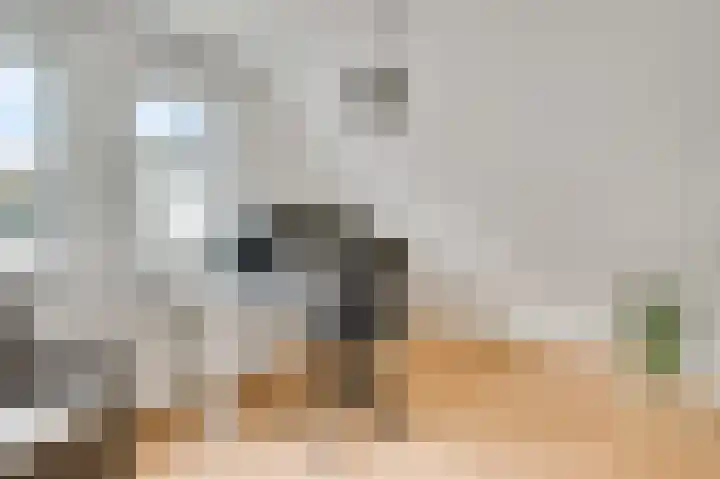 Pelikaanstraat 7 Nuth thumbnail 12