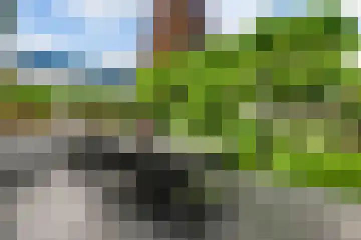 Pelikaanstraat 7 Nuth thumbnail 18