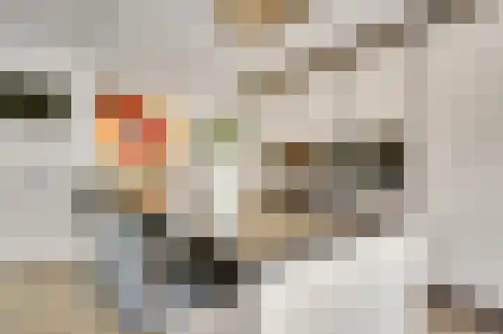 Pelikaanstraat 7 Nuth thumbnail 9