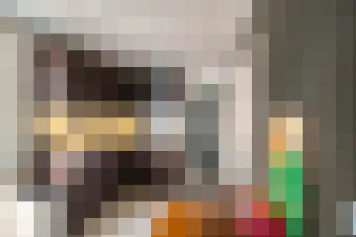 Pelikaanstraat 9 A Assen thumbnail 15