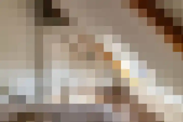 Pelikaanstraat 9 A Assen thumbnail 31