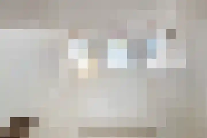 Pelikaanstraat 9 A Assen thumbnail 5