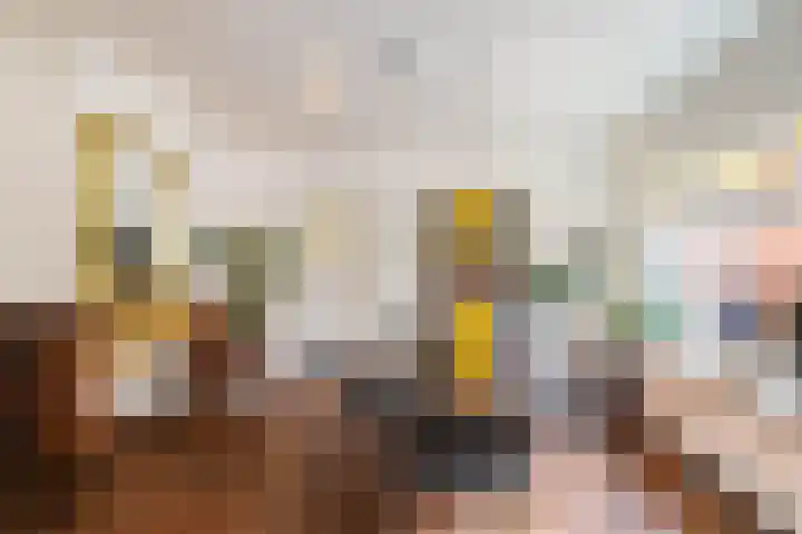 Pelikaanstraat 9 A Assen thumbnail 8