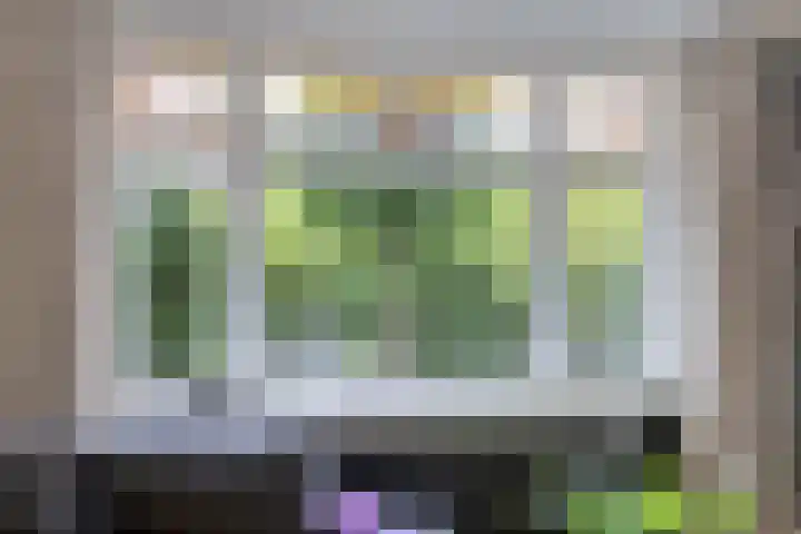 Pelikaanstraat 9 Assen thumbnail 12