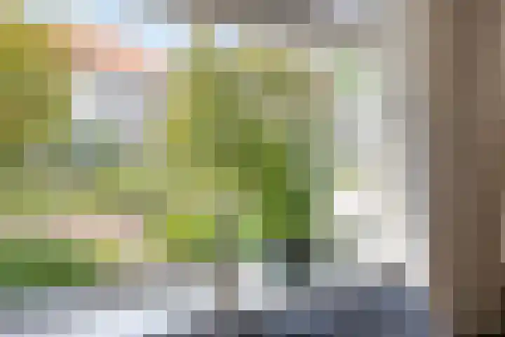 Pelikaanstraat 9 Assen thumbnail 14